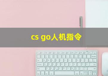 cs go人机指令